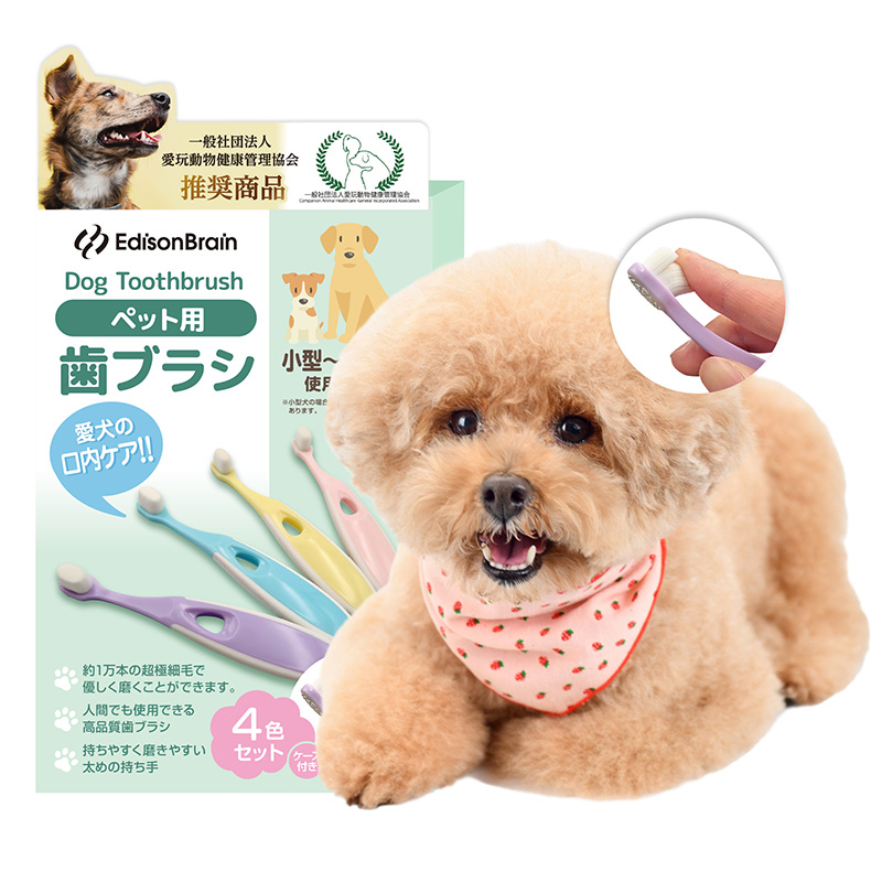 ペット用歯ブラシを販売しています